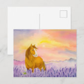 Horse in Lavender Field During Sunset ポストカード (正面/裏面)