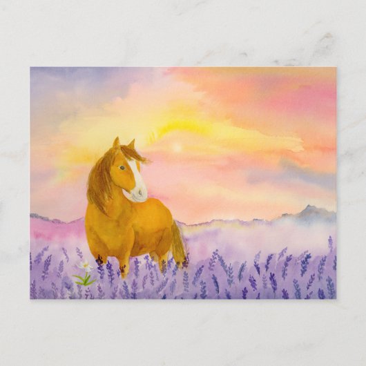 Horse in Lavender Field During Sunset ポストカード (正面)