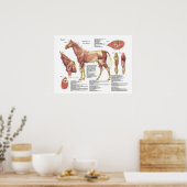 Horse Muscle Neck Shoulder Anatomy Chart ポスター (キッチン)
