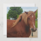 Horse Note Card | Elegant Equestrian Greeting Card (正面)