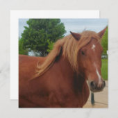 Horse Note Card | Elegant Equestrian Greeting Card (正面/裏面)