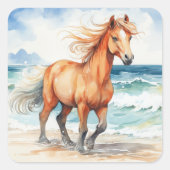 Horse on Beach スクエアシール (正面)