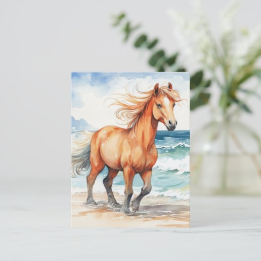 Horse on Beach ポストカード (スタンド正面)