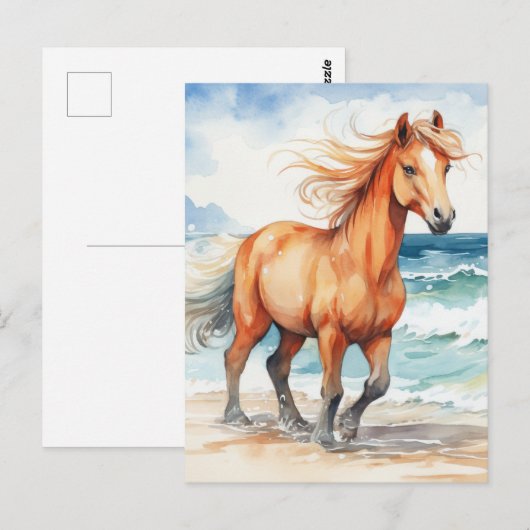 Horse on Beach ポストカード (正面/裏面)