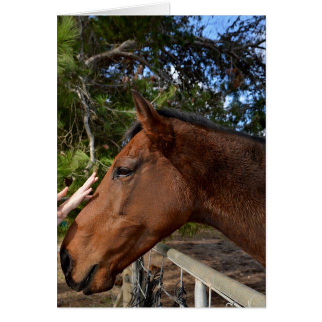 Horse_Pat,_Greeting_Card。 (正面)