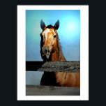 Horse Portrait Poster ポスター<br><div class="desc">Horse Portrait - Horse Face / Head - Horse Look - Digital Animal / Horse Art - Horse Digital Watercolor Artwork Posters</div>