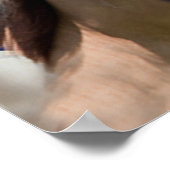 Horse Poster American Flag ポスター (角)