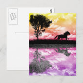 Horse Reflectionsはがき ポストカード (正面/裏面)