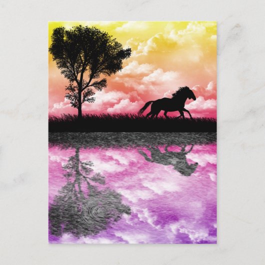 Horse Reflectionsはがき ポストカード (正面)