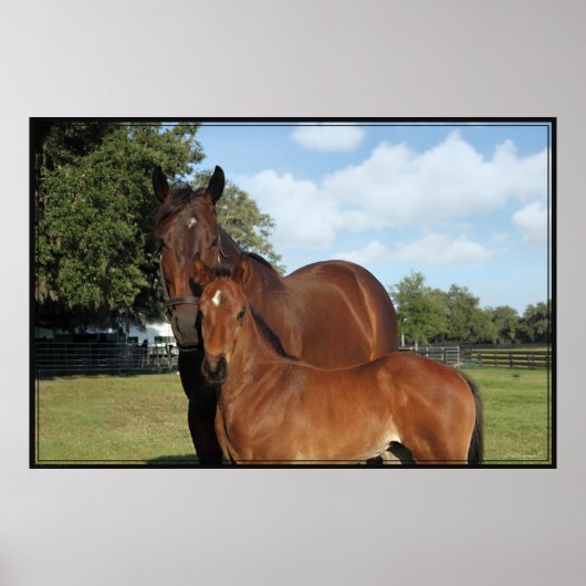 Horse Royaleポスター–60x40 – 小さいクリック方に対応 ポスター (正面)