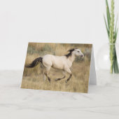 Horse Running Through Prairie Grass カード (正面)