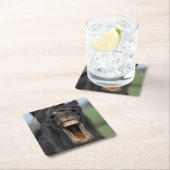 Horse Showing His Teeth スクエアペーパーコースター (インサイチュ)