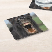 Horse Showing His Teeth スクエアペーパーコースター (アングル)