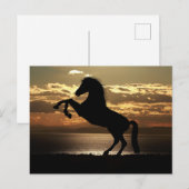 horse sunset silhouette ポストカード (正面/裏面)