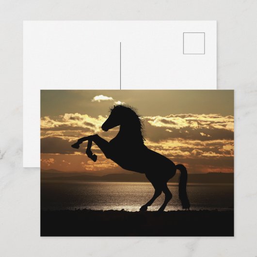 horse sunset silhouette ポストカード (正面/裏面)