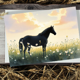 Horse Sympathy Card サンキューカード