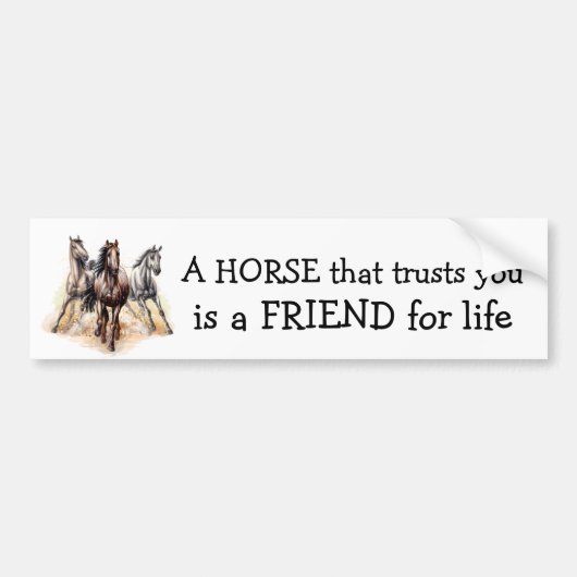 HORSE that Trust FRIEND for life引用文賞 バンパーステッカー (正面)