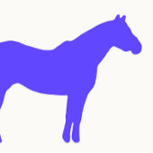 Horse Trainer Business Blue Simple and Modern 名刺