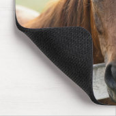 Horse Wearing a Graduate Cap マウスパッド (コーナー)
