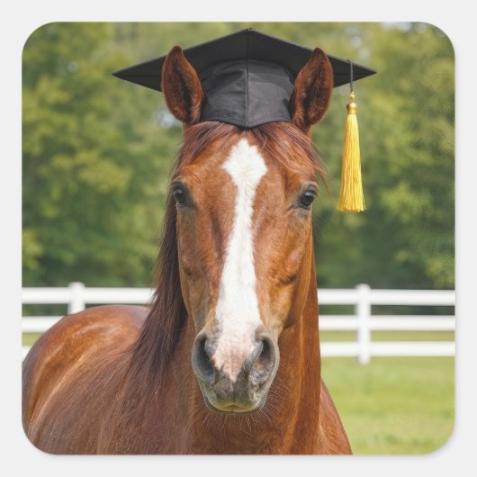 Horse Wearing a Graduation Cap スクエアシール (正面)