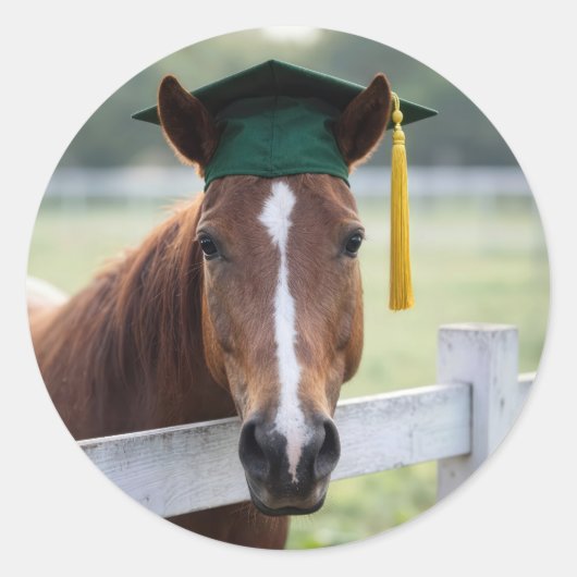 Horse Wearing a Green Graduation Cap ラウンドシール (正面)