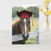 Horse Wearing a Red Graduation Cap カード (黄色い花)