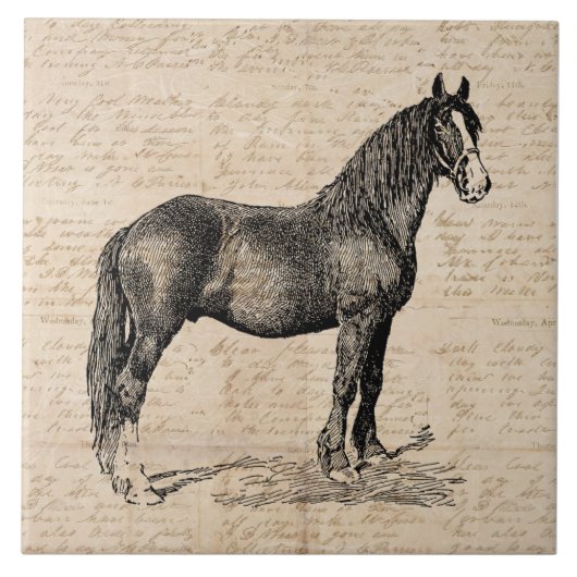 Horse with Script紙 タイル (正面)