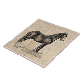 Horse with Script紙 タイル (側面)
