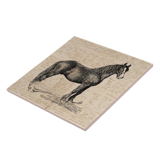 Horse with Script紙 タイル (側面)