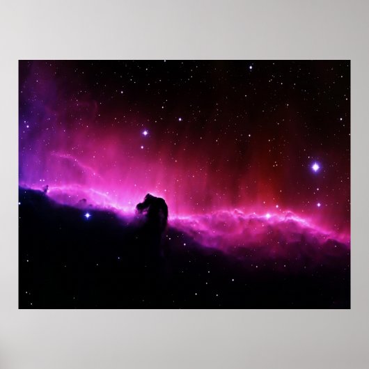 Horsehead Nebula ポスター (正面)