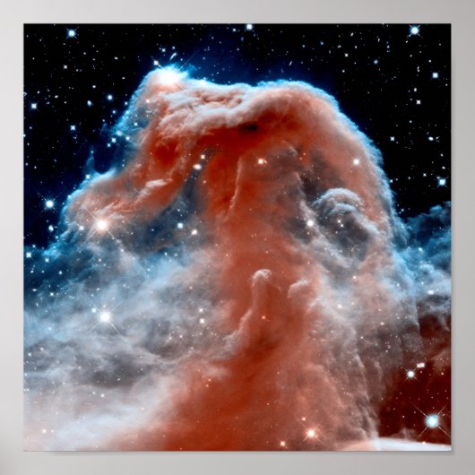 Horsehead Nebula Infrared -ハッブル宇宙写真 ポスター (正面)