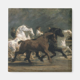 Horsemarketのための勉強、1900年 マグネット