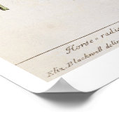 Horseradish, プレート415 from 'A Curious Herbal', pu ポスター (角)