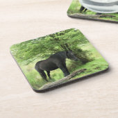 HORSES コースター (左側)