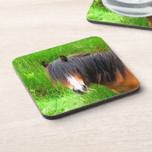 HORSES コースター (左側)