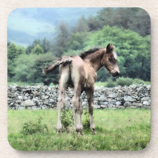 HORSES コースター (正面)