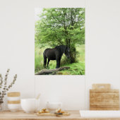 HORSES ポスター (キッチン)