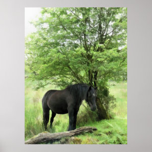 HORSES ポスター
