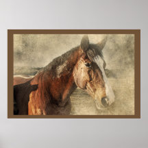 Horses Artwork Photo Poster