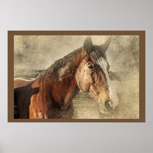 Horses Artwork Photo Poster ポスター (正面)