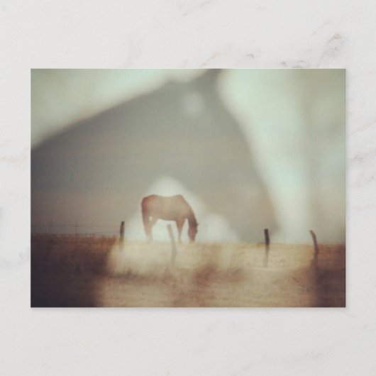 Horses by Angelandspot ポストカード (正面)