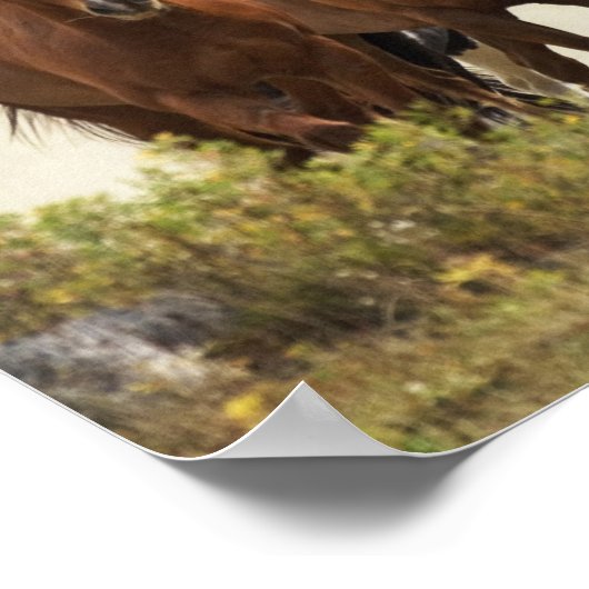 Horses cresting small hill during roundup, 2 ポスター (角)