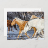 Horses Crossing the Stream ポストカード (正面/裏面)