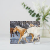 Horses Crossing the Stream ポストカード (スタンド正面)