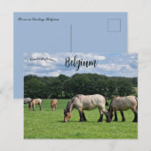 Horses in Durbuy Belgium ポストカード (正面/裏面)