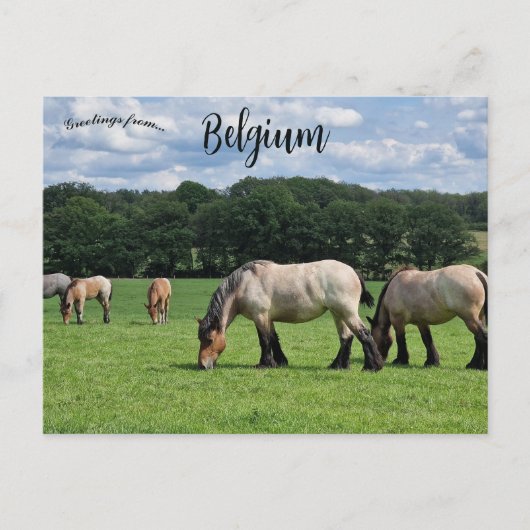 Horses in Durbuy Belgium ポストカード (正面)