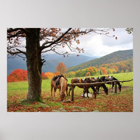 Horses, Mountains, Autumn Poster ポスター (正面)