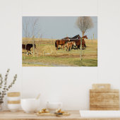 Horses on Farmフォトポスター ポスター (キッチン)