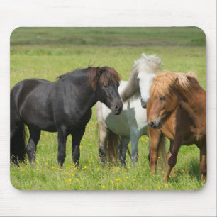 Horses on the Ranch, South Iceland マウスパッド