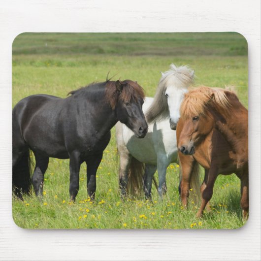 Horses on the Ranch, South Iceland マウスパッド (正面)